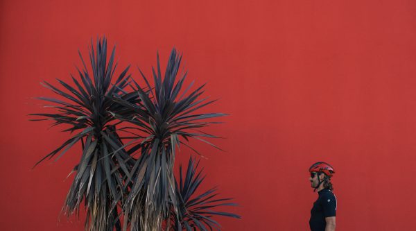 265-2018-09-30 HJC Mntpllr-2233