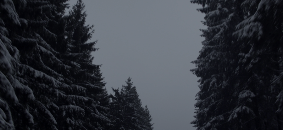 Bildschirmfoto 2020-12-08 um 10.33.25 (2)