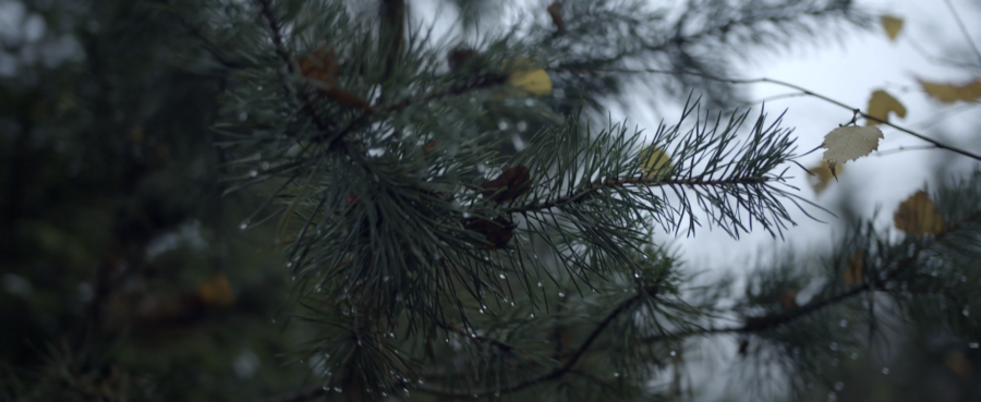 Bildschirmfoto 2020-12-08 um 10.36.05 (2)