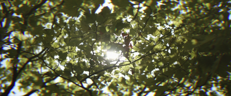 Bildschirmfoto 2020-12-08 um 14.35.10 (2)